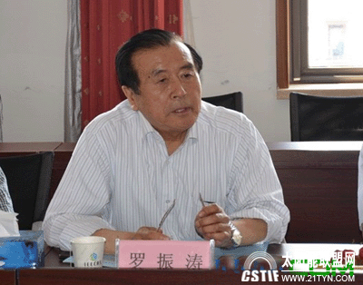 太陽能熱發(fā)電技術(shù)報告專家論證會召開